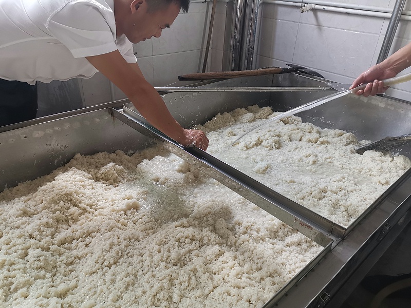 4蒸煮完成，開始淋飯2