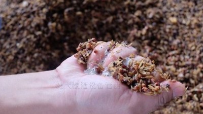 用小型燒酒設(shè)備蒸酒時(shí)，酒醅含水量也會(huì)影響白酒口感和出酒率？