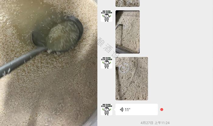 受疫情影響不讓養(yǎng)蛇，用電加熱釀酒設備做酒迎來新未來！ 3