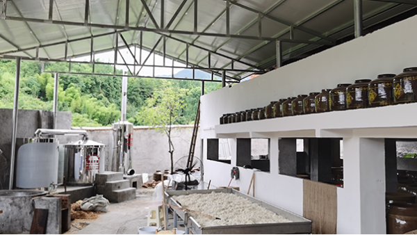受疫情影響工作不好找，在家開個(gè)酒廠利潤大嗎？