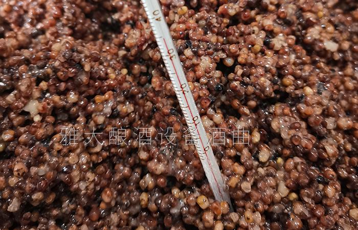 25℃-28℃活性更強(qiáng)、出酒率更高