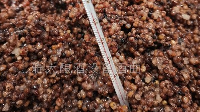 做酒設(shè)備釀固態(tài)高粱酒控制好這5個溫度，出酒率瞬間提高！