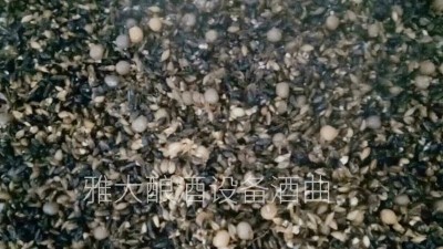 用小型酒廠釀酒設(shè)備做黑大麥酒，開家個(gè)性化的釀酒作坊！