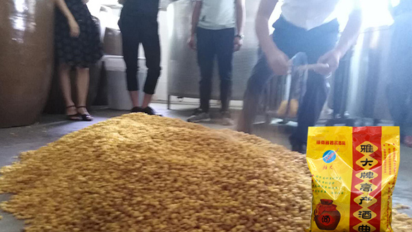 40年老師傅用糧食釀酒設(shè)備做酒有訣竅，蒸餾蒸糧一步到位！