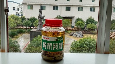 做酒設(shè)備釀造黃秋葵酒，3種不同工藝，哪種工藝釀的更好喝？