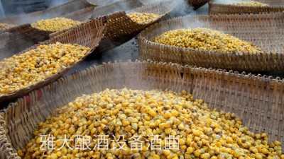 看過來，用玉米釀酒設(shè)備制作整料玉米酒的標(biāo)準(zhǔn)教程在這里！