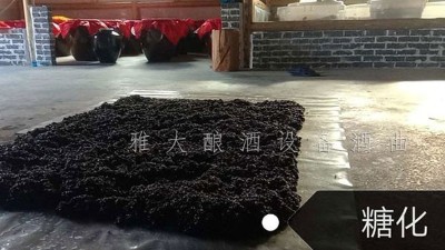 簡單10步教您用白酒生產(chǎn)設(shè)備釀出美味黑糯米酒，趕緊來看看！