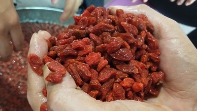 學(xué)會(huì)枸杞酒的三種常見釀酒技術(shù)，您就是釀酒高手！