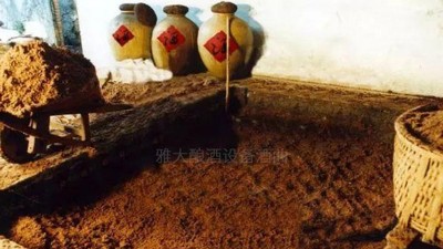 用高粱釀酒設(shè)備做濃香型白酒，酒好全憑窖池老！