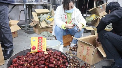 “五一”假期出游新風(fēng)向，自駕車來大型釀酒設(shè)備廠家實操釀紅棗酒
