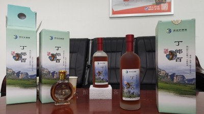 農(nóng)村到處可見(jiàn)的野果，用小型白酒設(shè)備釀成酒被稱為男人的加油站！