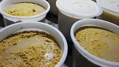 玉米熟料液態(tài)酒怎么做？小型酒廠釀酒設(shè)備玉米液態(tài)釀酒技術(shù)