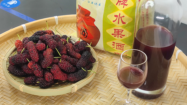 雅大釀酒設(shè)備廠邀您來酒廠學(xué)桑葚酒技術(shù)，品桑葚美酒！