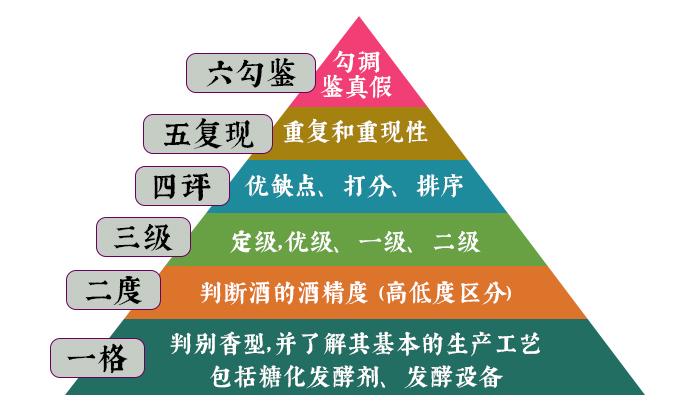 白酒勾調金字塔
