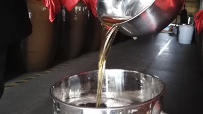 用白酒生產設備將雪蓮果釀成酒，利潤翻倍，雪蓮果釀酒技術！