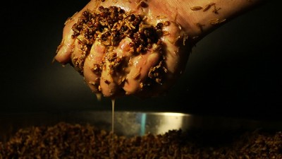 明明發(fā)酵得很好，為什么用小型釀酒設(shè)備蒸酒時(shí)就是不出酒？