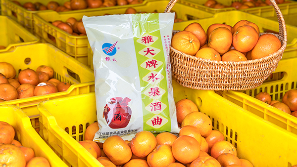 桔子滯銷怎么辦，試試用果酒釀酒設(shè)備將它們釀成酒吧！