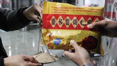 為了多出酒，100斤糧食多加1倍用量的酒曲，結(jié)果……