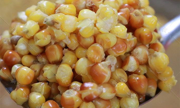 玉米蒸至開花率95%以上，外干內(nèi)軟