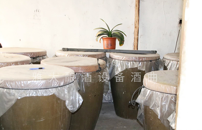 4.8柏善德老燒酒廠(chǎng)發(fā)酵車(chē)間