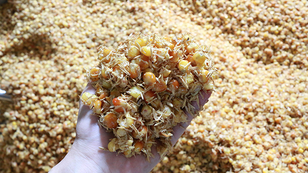 驚！夏季用白酒蒸餾設備做固態(tài)酒時加入輔料作用這么大！