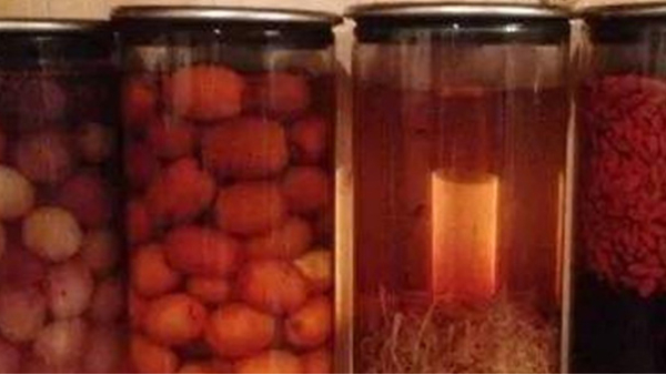 蒸餾釀酒設(shè)備：常見的6種野果，泡成酒連老酒鬼們都念念不忘！