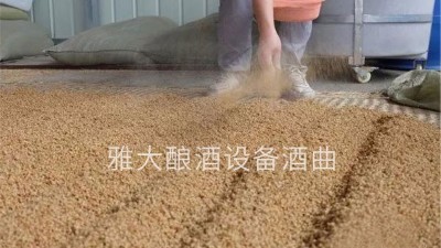 小麥酒怎么做？用燒酒設(shè)備釀造古老的小麥配糟固態(tài)酒！