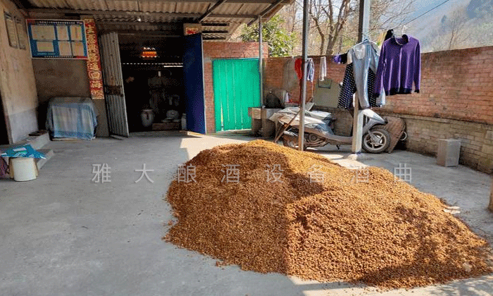 7.7剛剛蒸餾出來(lái)的新鮮酒糟，配糟用.png