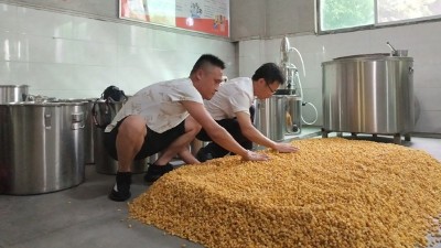 零基礎(chǔ)用做酒設(shè)備釀酒，必須要掌握糖化和酒化的6大要點(diǎn)！
