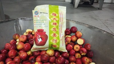 龍豐果酒怎么釀？雅大小型酒廠釀酒設(shè)備現(xiàn)場(chǎng)教您釀！