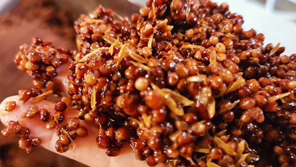 用釀酒蒸餾設備做固態(tài)高粱時，糖化不起來怎么辦？